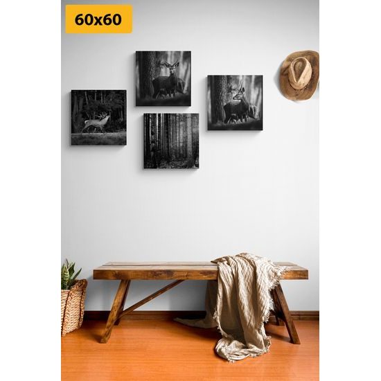 Set obrazů vysoká zvěř v černobílém provedení