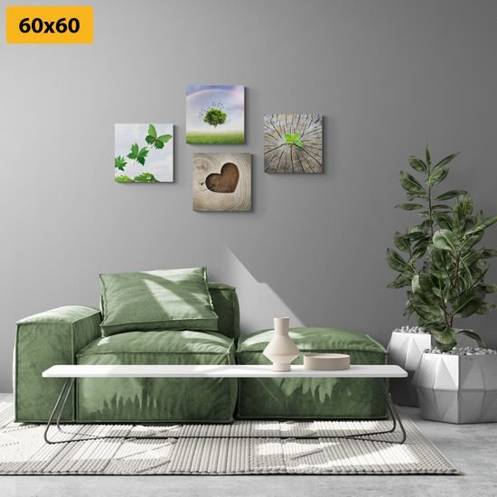 Set obrazů nádherné detaily přírody