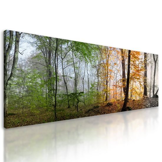 Obraz krása ročních období