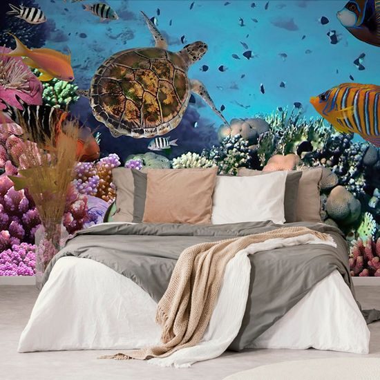 Fototapeta svět pod mořskou hladinou