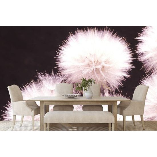 Samolepící fototapeta pampeliška s nádechem fialové