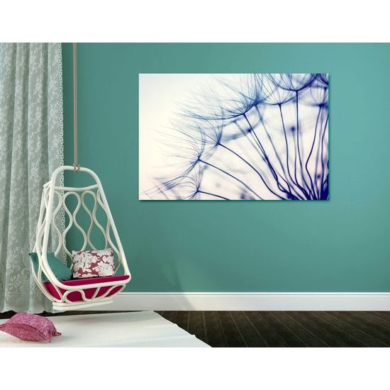 Obraz jedinečný detail pampelišky