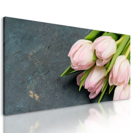 Obraz nerozkvetlé tulipány