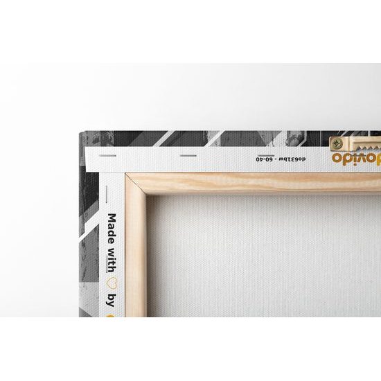 Obraz černobílá krása ženy v pop art stylu