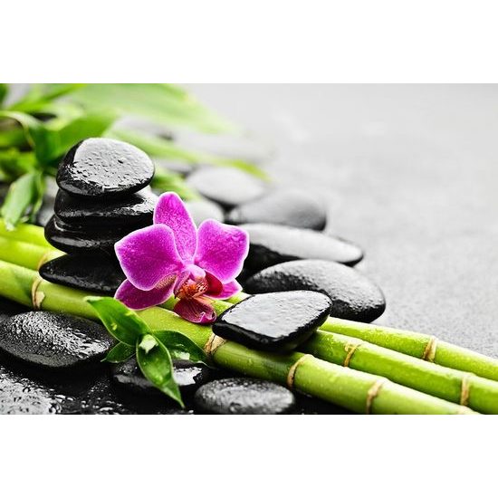 Fototapeta spa zátiší s fialovou orchidejí