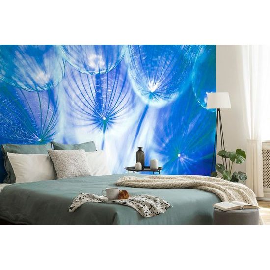 Zajímavá fototapeta modrá pampeliška