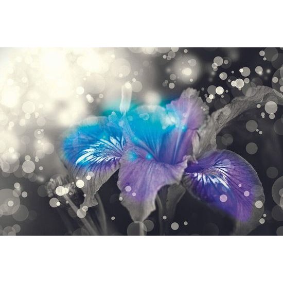 Tapeta kouzelná lilie