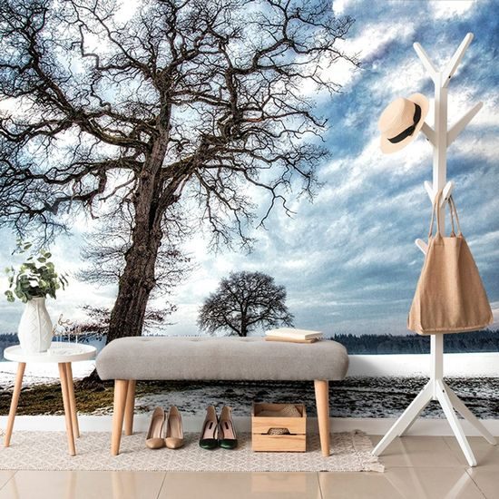 Fototapeta strom se sněhovým popraškem