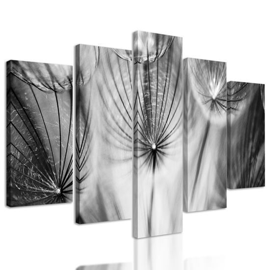 5-dílný obraz abstraktní pampeliška v černobílém provedení