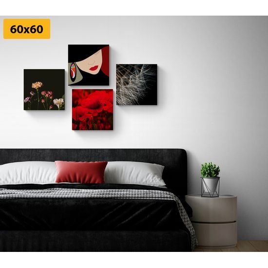 Set obrazů tajemná žena
