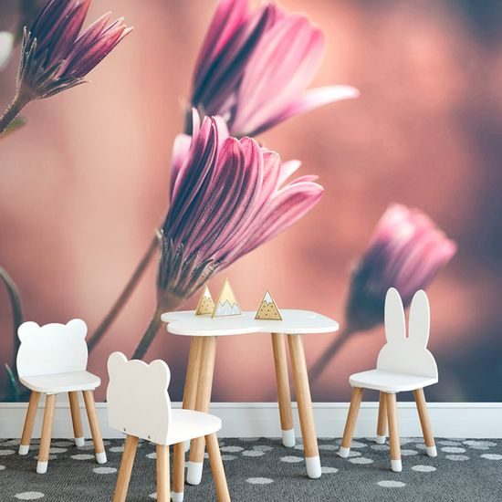 Samolepící fototapeta nenápadné kvítky růžových kopretin