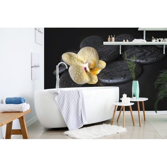 Fototapeta kompozice kamenů se žlutou orchidejí