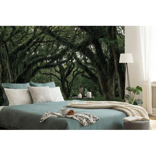 Samolepící fototapeta hustý les