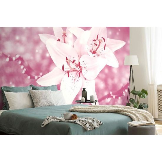 Samolepící fototapeta lilie na růžovém pozadí