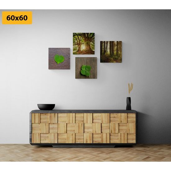 Set obrazů síla přírody