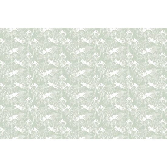 Tapeta elegantní monstera v zelených tónech