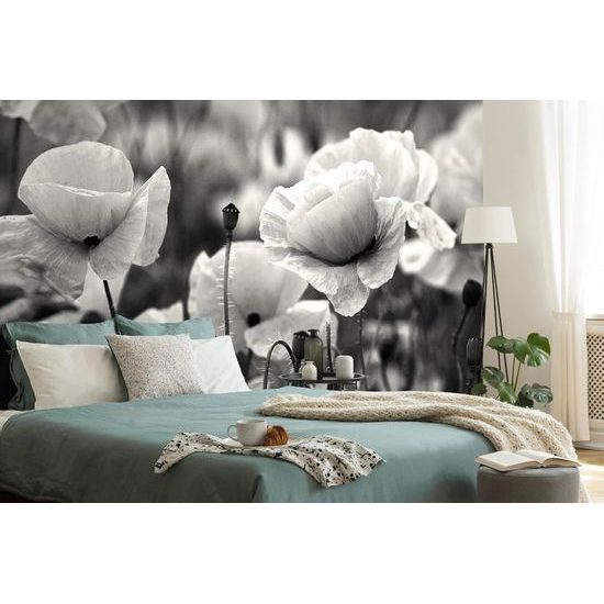 Nádherná černobílá samolepící fototapeta v objetí vlčích máků