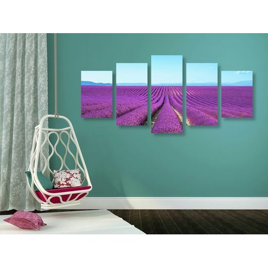 5-dílný obraz nádherná levadulová pole