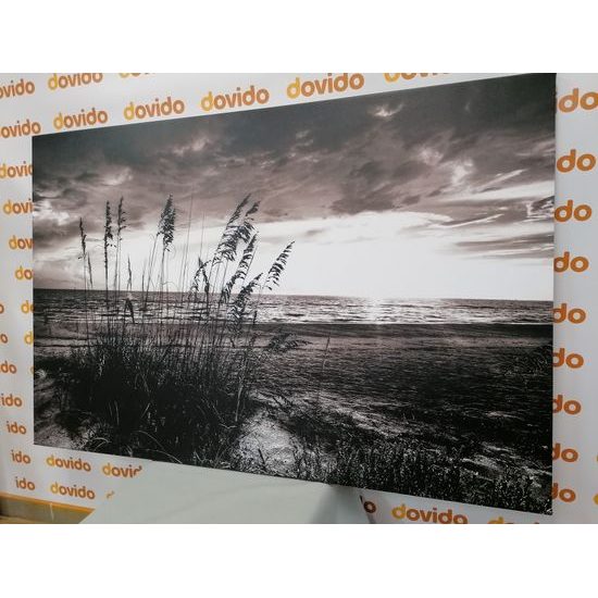 Obraz černobílý západ slunce z pláže