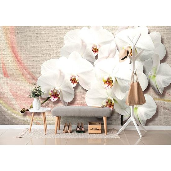 Samolepící tapeta krása bílé orchideje na plátně