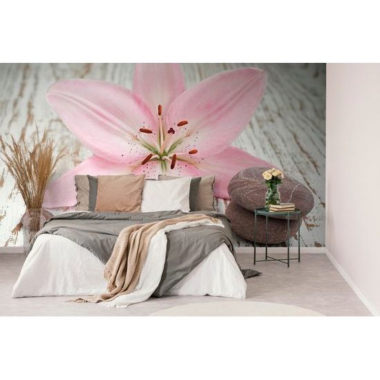 Fototapeta zátiší zen kamenů s růžovou lilií