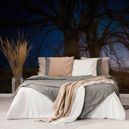 Tapeta stromy s noční oblohou