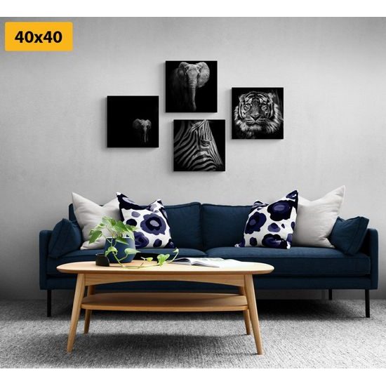 Set obrazů africká zvířata v černobílém provedení