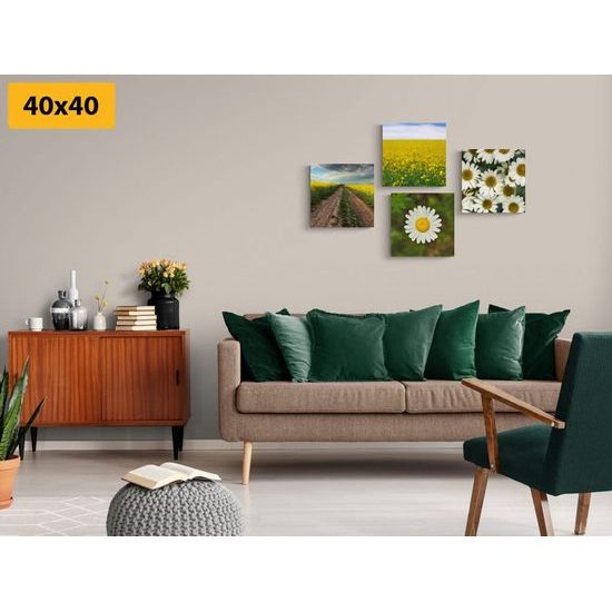 Set obrazů něžné semokrásky