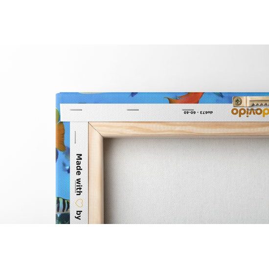 Obraz svět pod mořskou hladinou