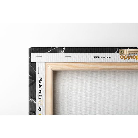 Obraz umělecká louka v černobílém provedení