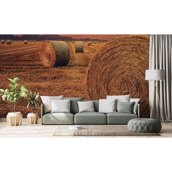 Fototapeta s balikmi sena field