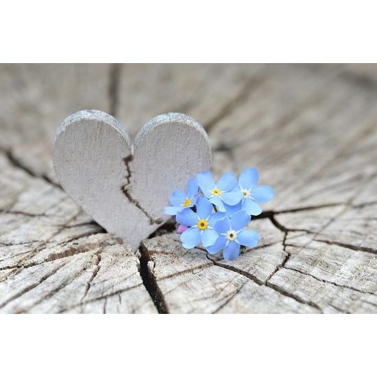 Samolepící tapeta malebné srdíčko na pařezu