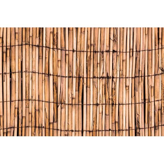 Samolepící fototapeta bambusová zahrada