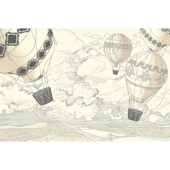 Samolepící tapeta vyhlídkový let balónem