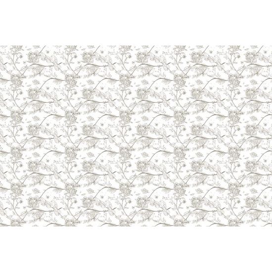 Tapeta krásné ptáčci na bílém pozadí