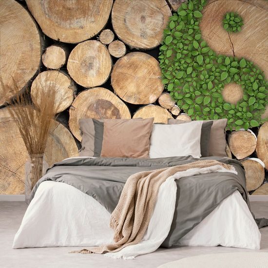 Fototapeta symbol Jin a Jang ukrytý v rákosí