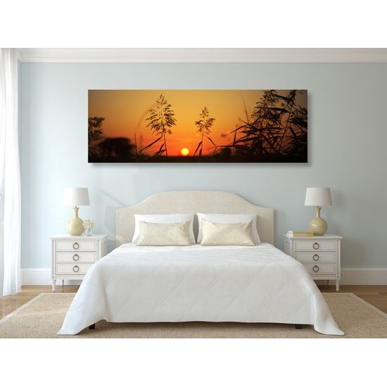 Obraz západ slunce za stéblami trávy