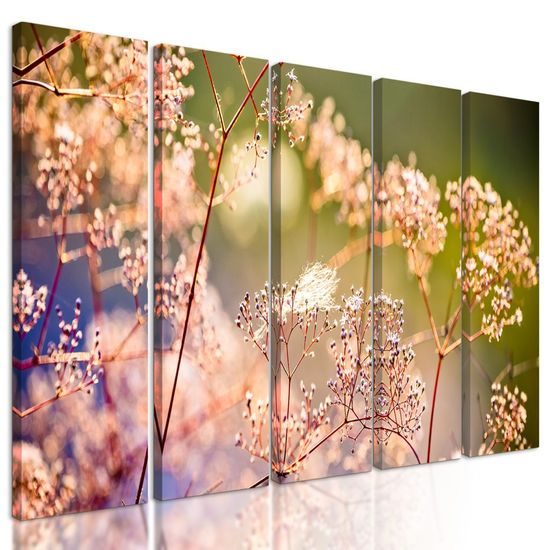 5-dílný obraz nádherné květiny
