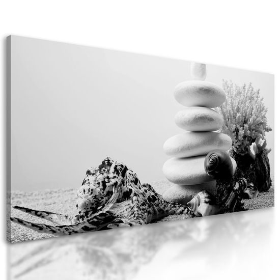 Obraz zen kameny a dary moře v černobílém provedení