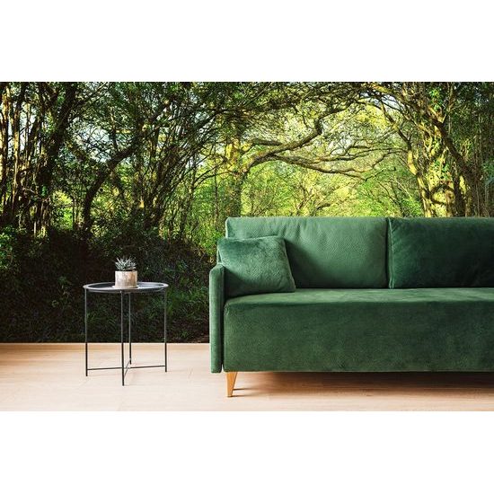 Samolepící tapeta cesta do magického lesa