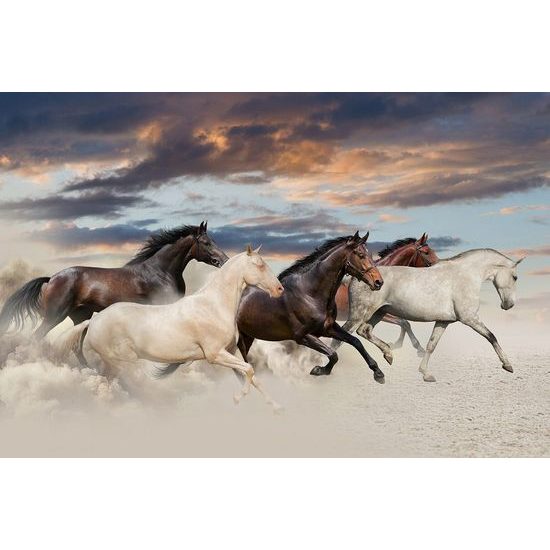Okouzlující samolepící tapeta stádo cválajících koní