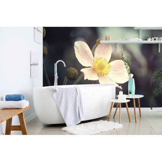 Originální fototapeta půvab květu