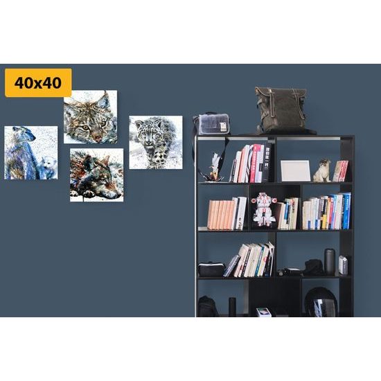 Set obrazů malby divokých zvířat