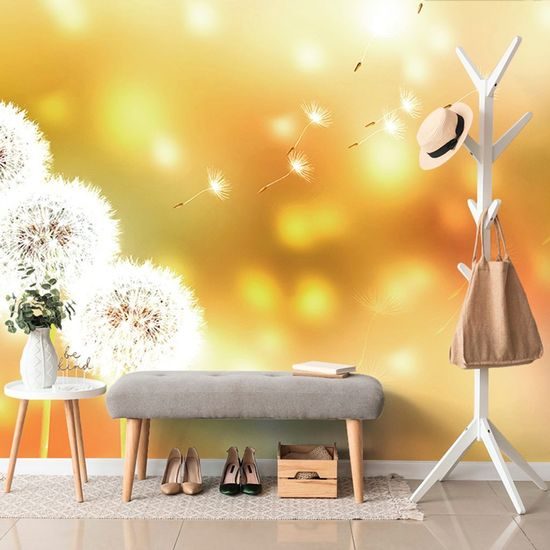 Samolepící tapeta nadýchané kloboučky pampelišky