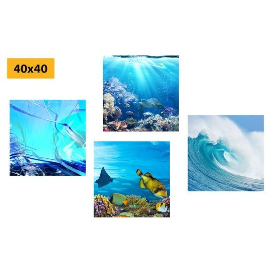 Set obrazů mořský život