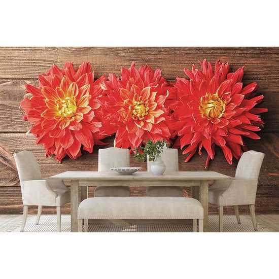 Fototapeta květiny dálí na dřevěném pozadí