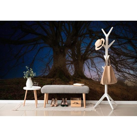 Samolepící tapeta stromy s noční oblohou