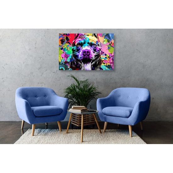 Obraz pes v pestrobarevném provedení