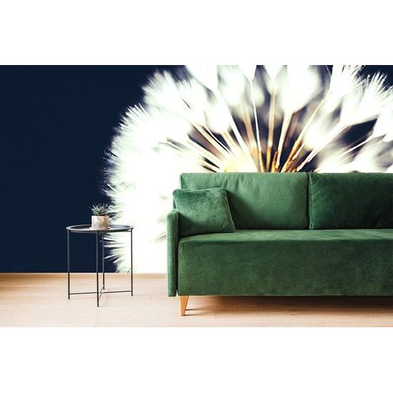 Tapeta klobouček pampelišky na tmavém pozadí