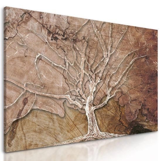 Obraz tajuplná koruna stromu